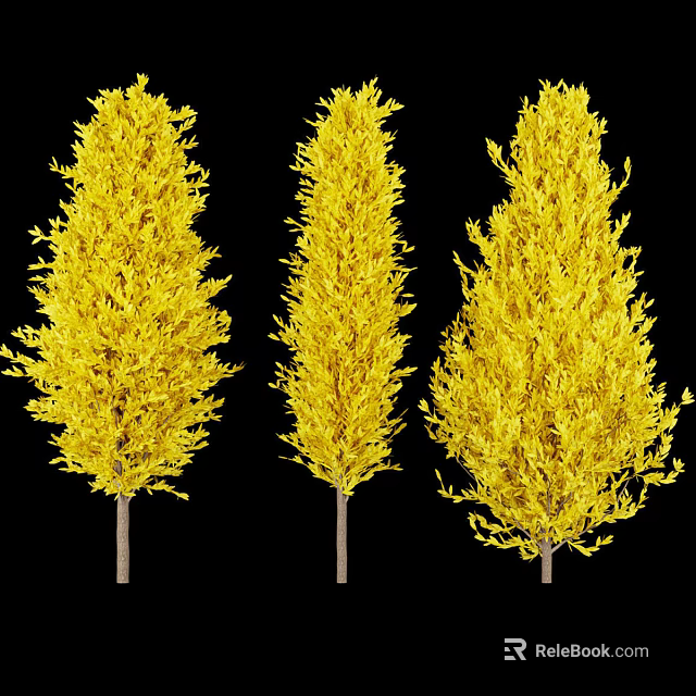 Three Tall Yellow Leafy Trees With Lush Foliage Against Black Background 3d model 