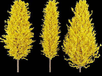 Three Tall Yellow Leafy Trees With Lush Foliage Against Black Background 3d model