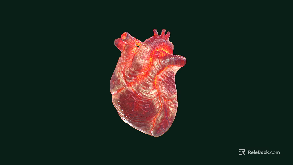 Man Examining 3D Rendered Red Heart Model On Black Background 3d model 