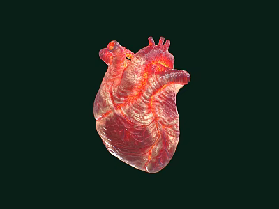 Man Examining 3D Rendered Red Heart Model On Black Background 3d model