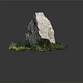 Large Natural Rock Surrounded by Lush Green Moss on Dark Background