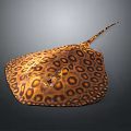 Manta Ray Batfish Aoate Fish Cartoon Aoate Fish Animation Aoate Fish Aoate Fish Expression Package Animation Character 3d model