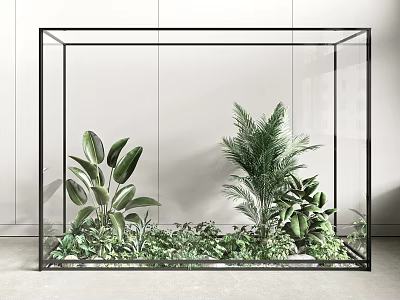 Indoor Glass Container Display with Various Green Plants and Different Leaf Types 3d model