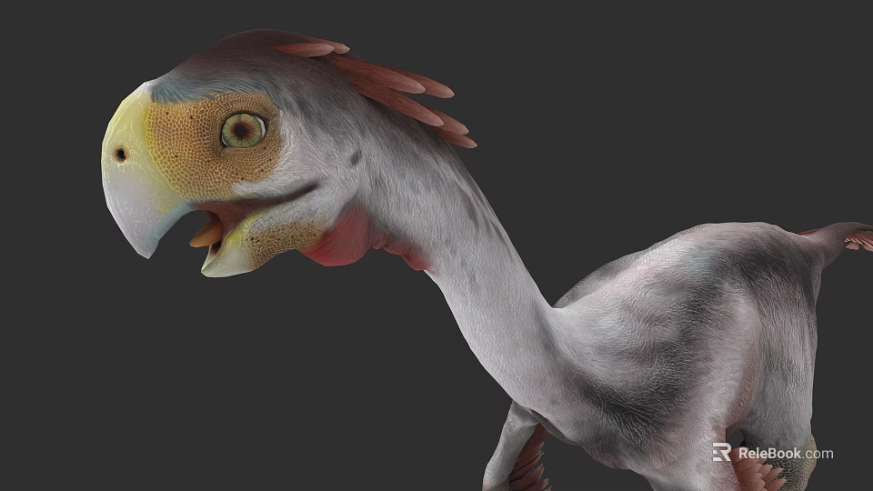 Realistic Reptile 3D Model With Colorful Head Long Neck And Feathered Features 3d model 