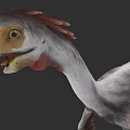 Realistic Reptile 3D Model With Colorful Head Long Neck And Feathered Features