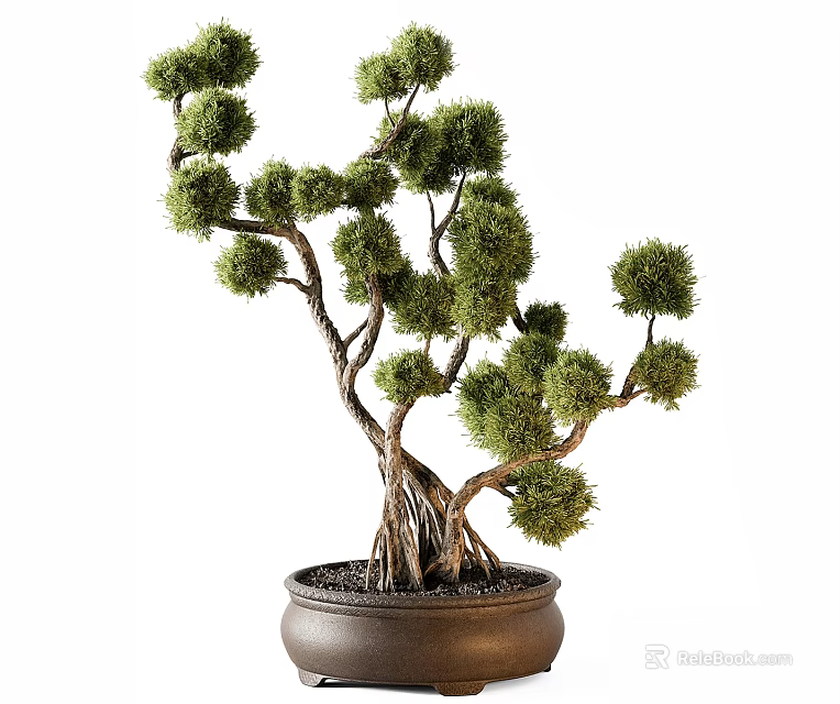 Bonsai Plant With Curved Trunk Exposed Roots And Round Lush Foliage In Dark Ceramic Pot 3d model 