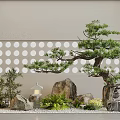 Japanese Style Garden Ornament with Bonsai Pine Tree Stones and Lantern Near Circular Perforated Wall