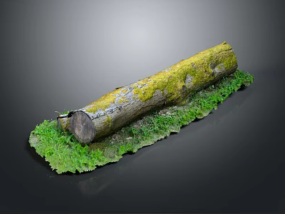 Natural Wooden Log With Green Moss And Fresh Grass On Dark Background 3d model