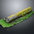 Natural Wooden Log With Green Moss And Fresh Grass On Dark Background