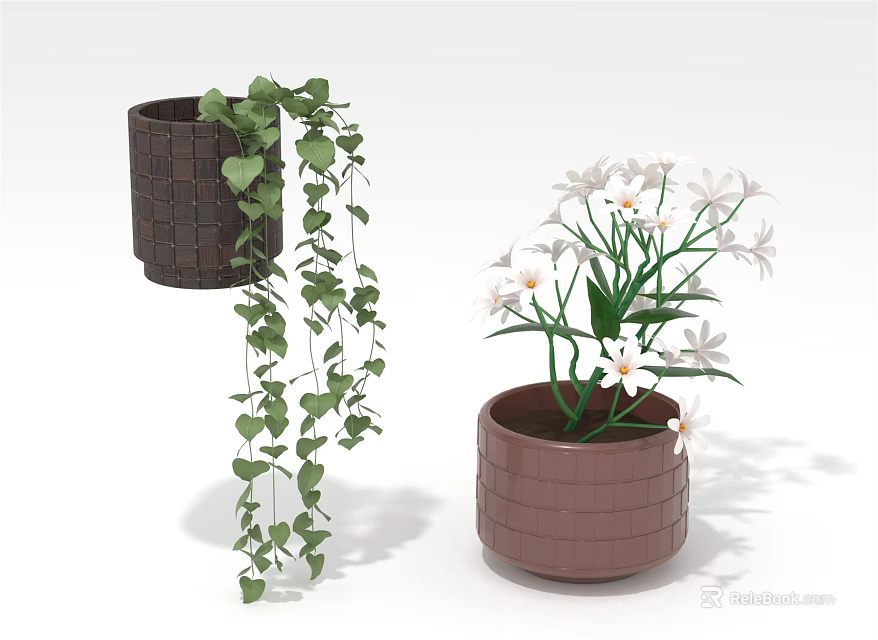 Decorative Indoor Plants With Heart Shaped Leaves And White Flowers In Brown Woven Pots 3d model 