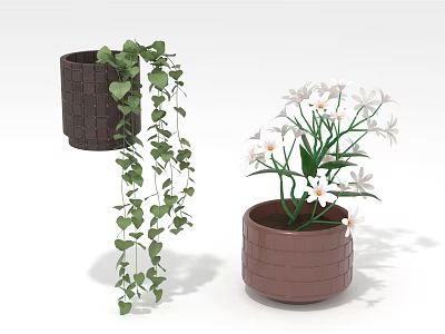 Decorative Indoor Plants With Heart Shaped Leaves And White Flowers In Brown Woven Pots 3d model
