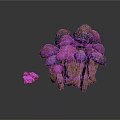 Fresh Purple and Dark Purple Mushrooms in Wooden Basket with Red Berries