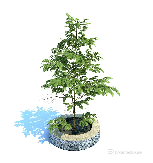 Lush Green Garden Accent Plant In Stone Planter With Slender Trunk And Leaves 3d model 