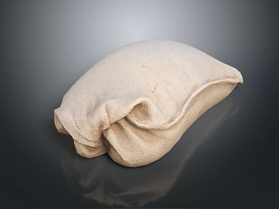 Beige Linen Fabric Household Pillow Bag Soft For Home Decor Use 3d model