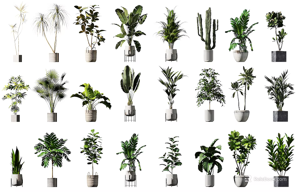 Various Indoor Potted Green Plants With Different Species And Decorative Planters 3d model 