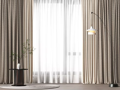 Cozy Beige Curtain With White Sheer Floor Lamp And Green Plant By Window 3d model