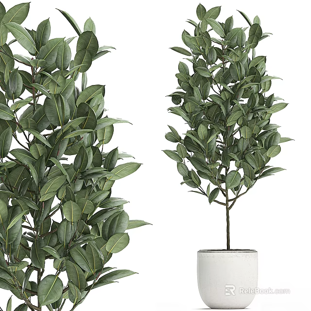 Decorative Plant Arrangement With Lush Green Foliage In White Ceramic Pot 3d model 