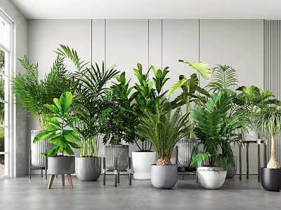 Various Green Potted Plants in Different Stylish Pots for Bright Indoor Space with Window 3d model
