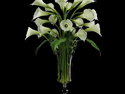 Fresh White Calla Lilies Arranged in Transparent Glass Vase with Green Leaves 3d model