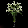 Fresh White Calla Lilies Arranged in Transparent Glass Vase with Green Leaves