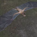 Bat Showing Wide Wings While Gliding Through Air Near Trees 3d model