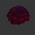 Red Mushroom Like Plant With Circular Stacked Shiny Red Caps Against White Background