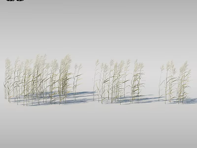 Beautiful Colorful Flowers and Green Plants in Natural Garden Landscape with Fresh Foliage 3d model