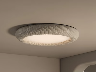 Modern Round Ceiling Light with Textured Pattern and Soft Illumination 3d model