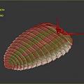 Red Segmented Creature Illustration With Striped Body And Antennae On Dark Background