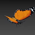 Flying Butterfly With Orange Wings Black Edges And White Spots On Brown Background