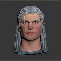 Realistic 3D Model of Male Head With Silver Gray Long Hair and Facial Features