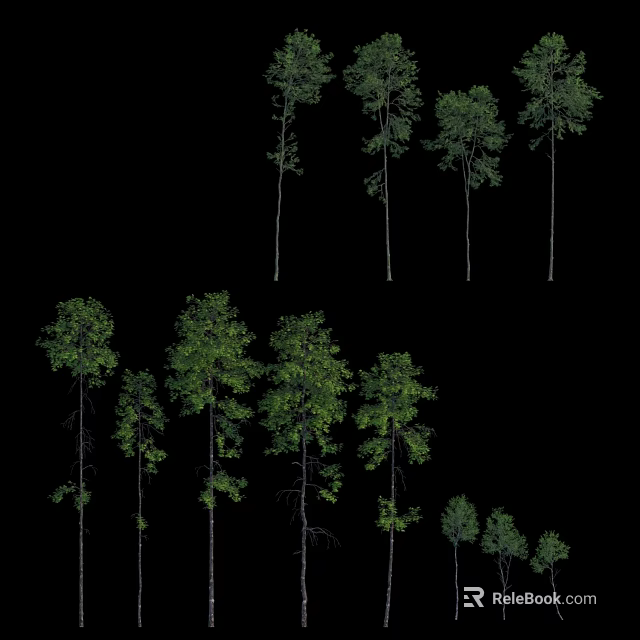 Collection of Various Size Arbor Trees With Green Foliage Isolated on Black Background 3d model 