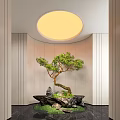 Indoor Landscape Featuring Bonsai Pine Light Wall Vertical Lines Circular Ceiling Light and Stone Base 3d model