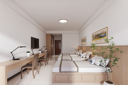 Modern study dormitory 3d model