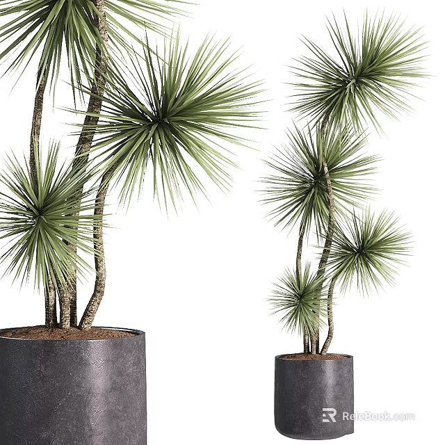 Garden Ornaments Featuring Tall And Short Green Slender Leafy Plants In Black Pots 3d model 