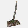 Tree Trunk With Moss Covered Bark And Fallen Leaves Around Roots In Soil 3d model