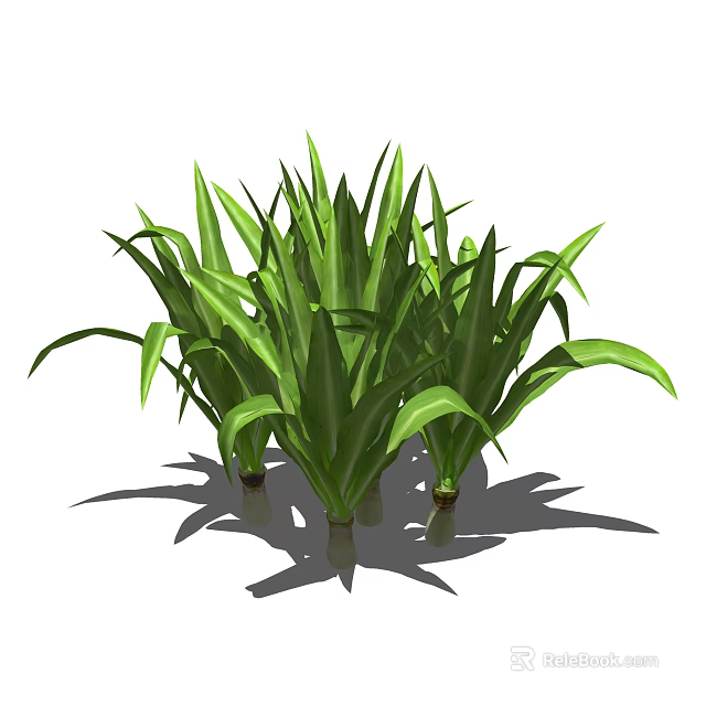Cluster of Fresh Green Herb Plants With Long Vibrant Leaves And Healthy Growth 3d model 