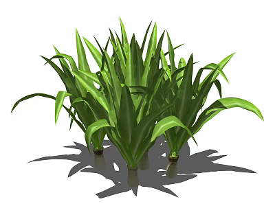 Cluster of Fresh Green Herb Plants With Long Vibrant Leaves And Healthy Growth 3d model