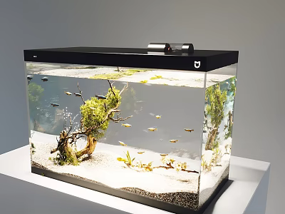Clear Glass Aquarium With Colorful Fish Aquatic Plants And Driftwood Decorations On White Stand 3d model