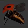 Red Ladybug With Black Spots And Spread Wings On Gray Gradient Background 3d model