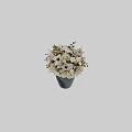 Elegant White Flower Arrangement in Green Vase With Various Flowers And Fresh Green Leaves