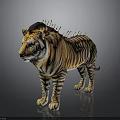 Orange and Black Striped Tiger With Spiked Mane Standing On Dark Reflective Surface