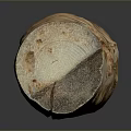 Natural Rustic Wood Stone Long Piece With Unique Surface Texture For Home Decor