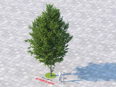 Lush Green Arbor In Landscape Design With Paved Ground And Small Lawn 3d model