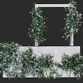 Bush With Green Leaves And White Flowers Decorating Concrete Wall Surface