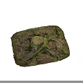 Natural Green Moss and Vegetation Growing on Rocky Soil Surface with Primitive Growth Traces