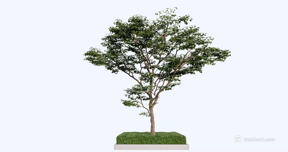 Tree Pit Design With Lush Tree Green Grass And Solid Concrete Base 3d model 