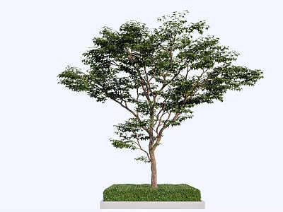 Tree Pit Design With Lush Tree Green Grass And Solid Concrete Base 3d model