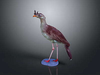 bird game animal cartoon animal realistic animal 3d model