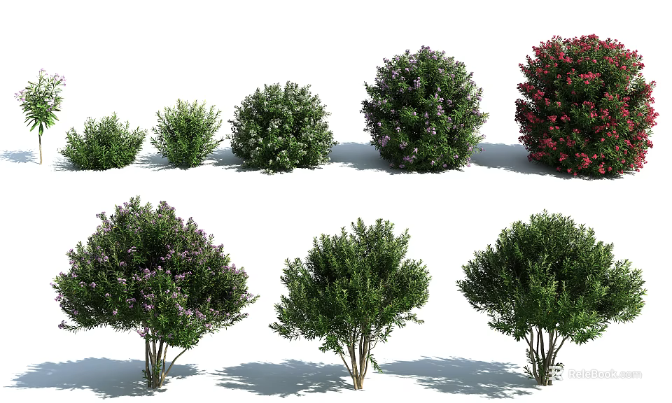 Various Types of Shrubs with Colorful Flowers and Green Foliage in Different Sizes 3d model 